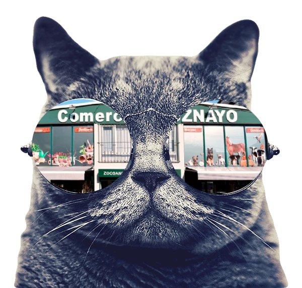 Gato comercial Hoznayo