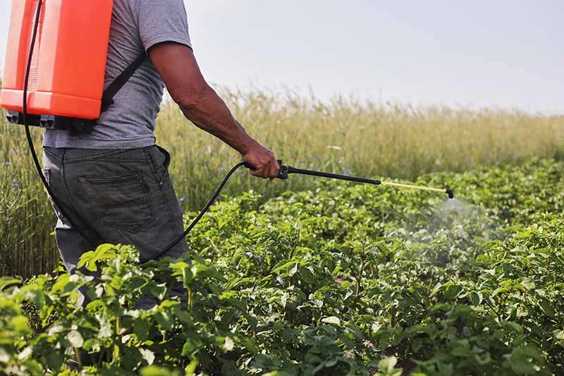 Insecticidas