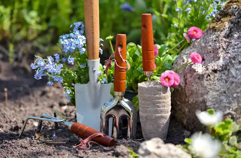 Variedad en Herramientas y Accesorios para Huerta y Jardín en Cantabria