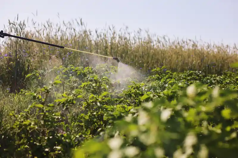 La importancia del Uso de Insecticidas, Herbicidas y Fungicidas en Cantabria