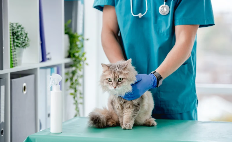 Productos veterinarios  para Propietarios de Mascotas