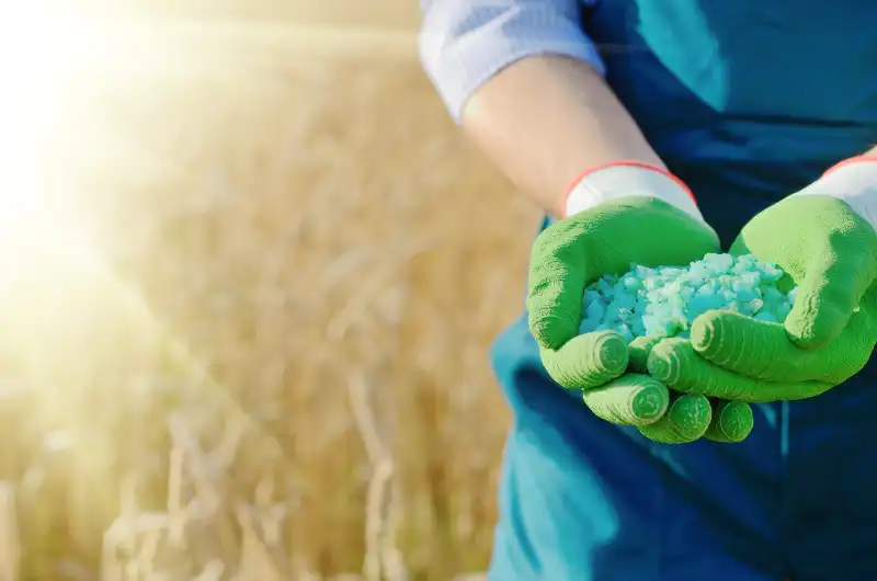 Beneficios de usar fertilizantes