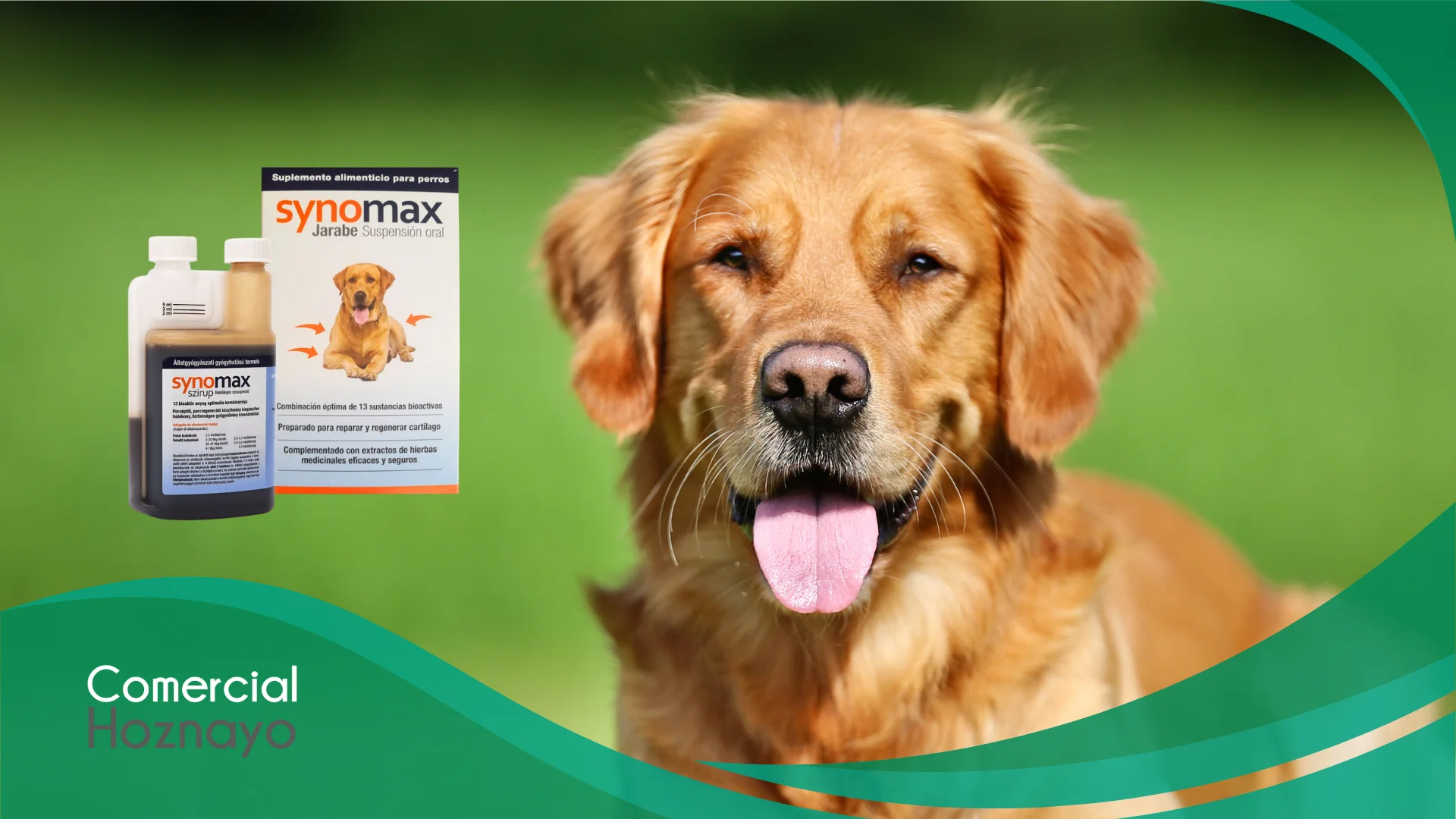 Synomax para perros: cuidado articular para mantener su movilidad y bienestar