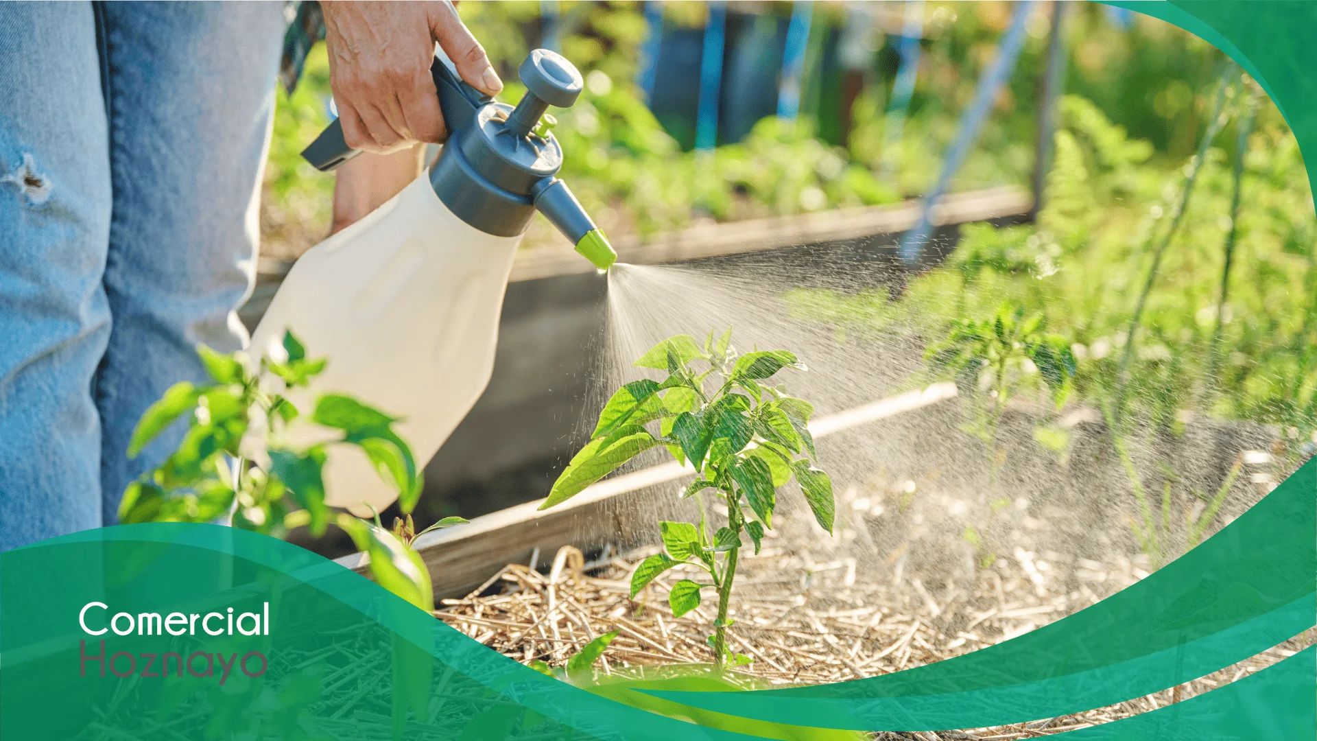 Hasta un 40% de los cultivos mundiales se pierde cada año debido a plagas y enfermedades de las plantas
